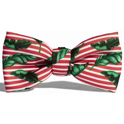 Muszka dla psa ZEE DOG Bali L