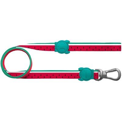 Smycz ZEE DOG Lola S (120 x 1.5 cm)