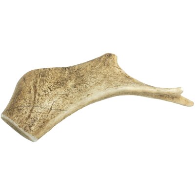 Gryzak dla psa 4DOGS Poroża daniela L