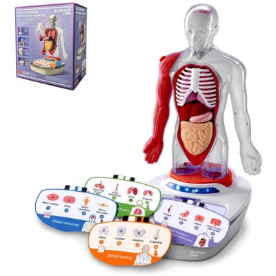 Interaktywny Model 3D SCIENCE CAN Ciało Człowieka 1600222025