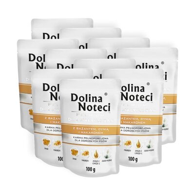 Karma dla psa DOLINA NOTECI Premium z bażantem, dynią i makaronem 10 x 100 g