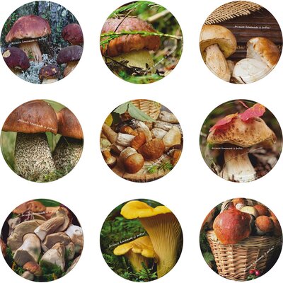 Zakrętka BROWIN 136323 Grzyby 6.6 cm (10 sztuk)