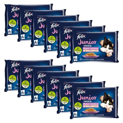 Karma dla kota FELIX Fantastic Junior Fantastic Kurczak i Łosoś (48 x 85 g)