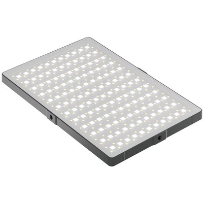 Lampa LED NEWELL RGB-W Rangha Max XL