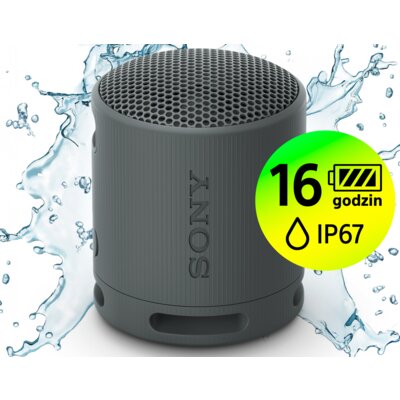 Głośnik mobilny SONY SRS-XB100 Bateria 16 godz. IP67, Sound Diffusion Procesor, Aplikacja Sony Music Center, Czarny