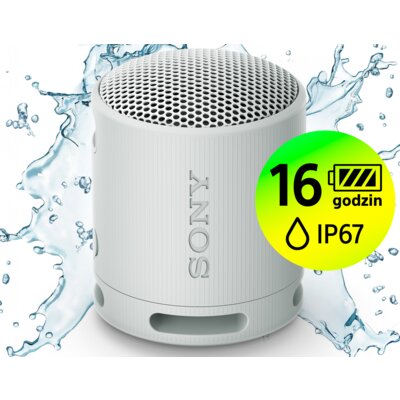 Głośnik mobilny SONY SRS-XB100 Bateria 16 godz. IP67, Sound Diffusion Procesor, Aplikacja Sony Music Center, Szary