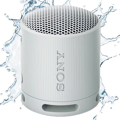 Głośnik mobilny SONY SRS-XB100 Szary