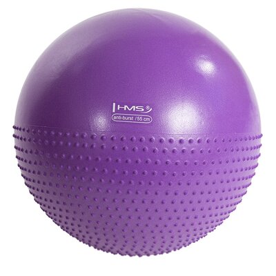 Piłka gimnastyczna HMS YB03N Fioletowy (55 cm)