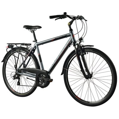 Rower trekkingowy INDIANA X-Road 1.0 M17 28 cali Amar męski Szary