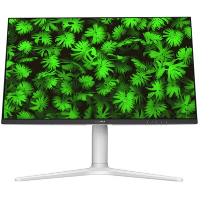 Monitor KOORUI GN10 27" 2560x1440px 240Hz 1 ms [GTG]