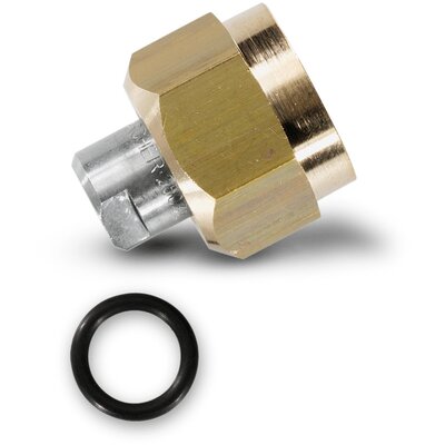 Dysza KARCHER FR (2.640-401.0) (2 szt.)