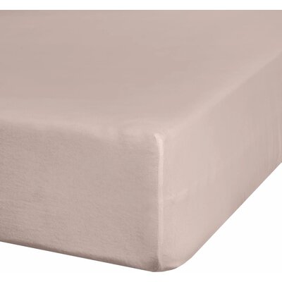 Prześcieradło EUROFIRANY Classic Jersey 180 x 200 cm Beżowy