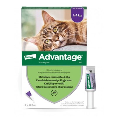Zdjęcia - Leki i witaminy Bayer Krople na pchły  Advantage Duże koty 4 x 0.8 ml 