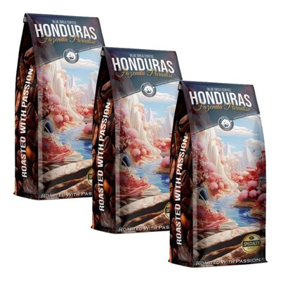 Kawa ziarnista BLUE ORCA COFFEE Honduras Fazenda Paradiso (Rzemieślnicza) (Specialty) 3 x 1 kg