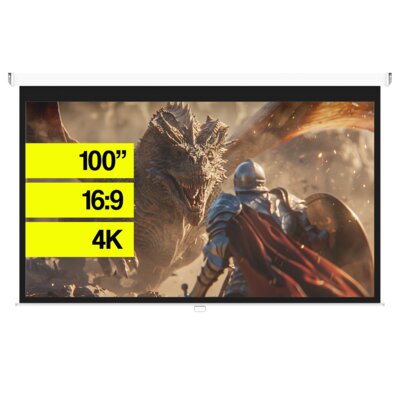 Ekran HISENSE PM100H