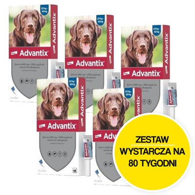 Krople na pchły i kleszcze ADVANTIX Spot-on Duże psy (25-40 kg) 20 x 4 ml
