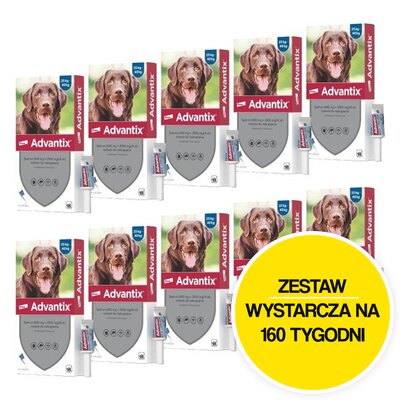 Krople na pchły i kleszcze ELANCO Advantix Spot-on Duże psy (25-40 kg) 40 x 4 ml