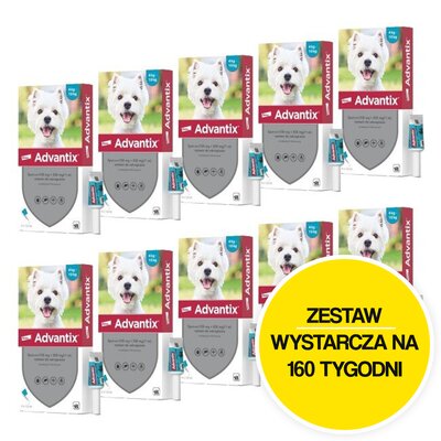 Krople na pchły i kleszcze ADVANTIX Spot-on Małe psy (4-10 kg) 40 x 1 ml