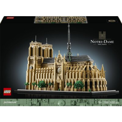 Notre-dame w paryżu 21061