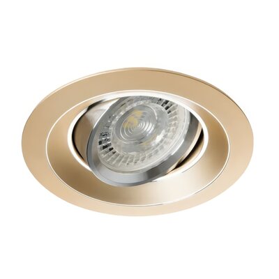 Oprawa sufitowa punktowa LIGHTLOGIC LL CILI DTO-G 30541