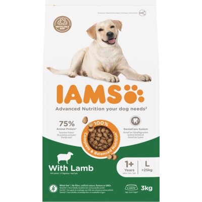 Karma dla psa IAMS For Vitality Adult Large Breed Lamb 3 kg