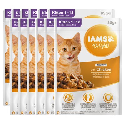 Karma dla kota IAMS Delights Kitten Kurczak w sosie (12 x 85 g)