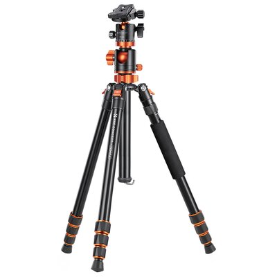 Statyw K&F CONCEPT T254A4 + BH-28L