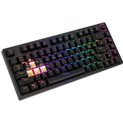 Фото - Клавіатура SAVIO Klawiatura  Phenix Gateron Yellow Pro Phenix Yellow 