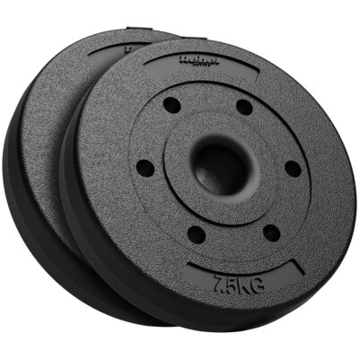 Zestaw obciążeń REBEL ACTIVE RBA-2139 (2 x 7.5 kg)