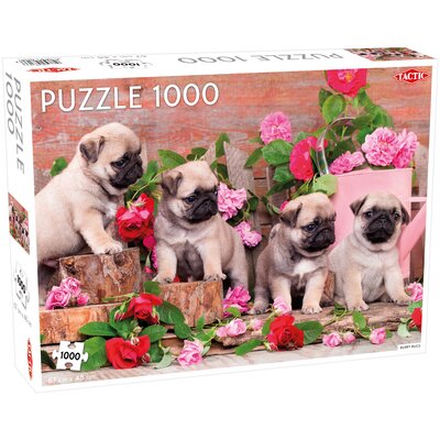 Puzzle TACTIC Lovers Puppy Pugs 58313 (1000 elementów)