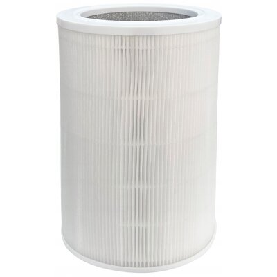 Filtr do oczyszczacza WEBBER AP8800