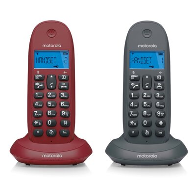 Telefon MOTOROLA C1002GW Duo DECT Szary