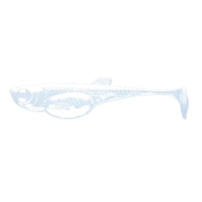 Przynęta LIBRA LURES Embrion Shad 3” (7.5 cm) Blue Pearl