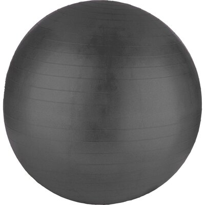 Piłka gimnastyczna XQMAX Antiburst Czarny (55 cm)