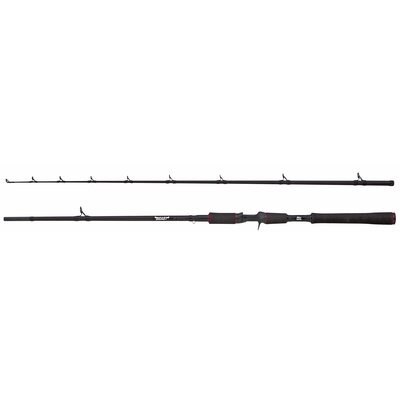 Wędka ABU GARCIA Beast Casting Rod 1561311 2.44m 30 - 100g