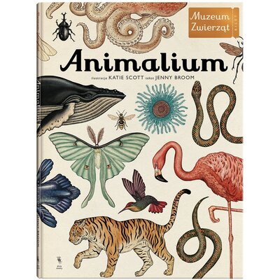 Książka W Muzeum Animalium Jenny Broom (twarda okładka)