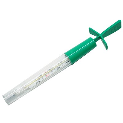 Termometr CONTROLY TER000001