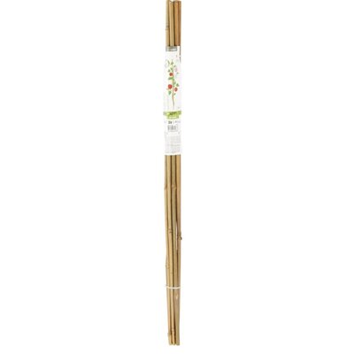 Podpórka PROGARDEN Bambus (60 cm) 10 szt.