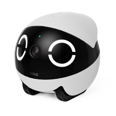 Robot monitorujący dla zwierząt ENABOT Rola Mini