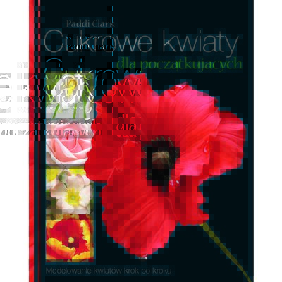 Książka Cukrowe kwiaty dla początkujących Paddi Clark (twarda okładka)