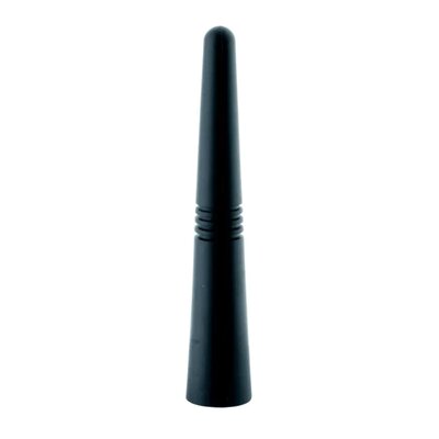 Antena samochodowa EINPARTS EPCA06