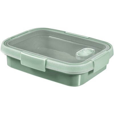 Lunch Box CURVER Sandwich Smart To Go 0.7 L
