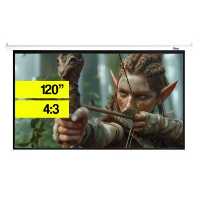 Ekran projekcyjny SILELIS ESE-2 183x244