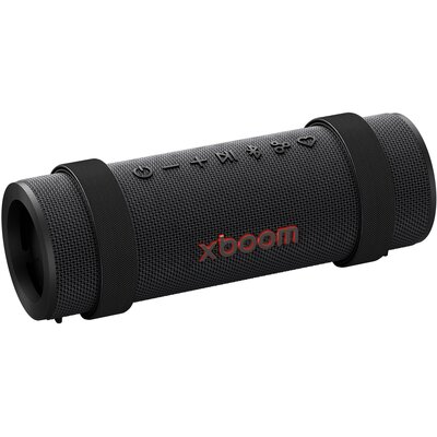 Głośnik mobilny LG Power Audio XBOOM by will.i.am Grab Czarny, 30W, Bluetooth, IP67, długa praca na baterii