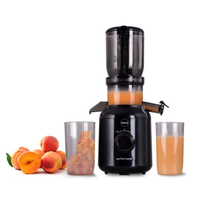 Wyciskarka wolnoobrotowa ELDOM Perfect PJ350