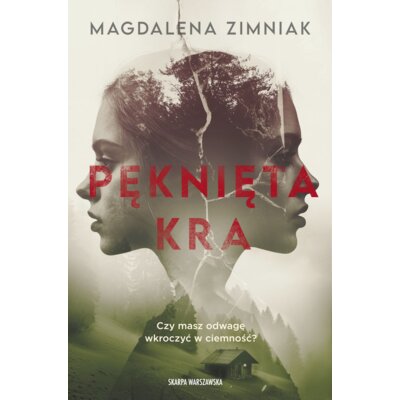 Pęknięta kra Magdalena Zimniak