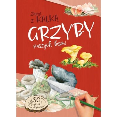 Grzyby naszych lasów Katarzyna Kopiec-Sekieta