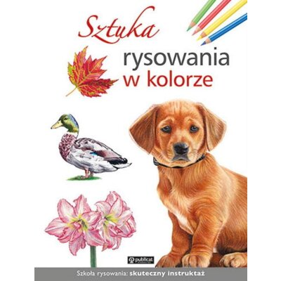 Sztuka rysowania w kolorze Praca zbiorowa