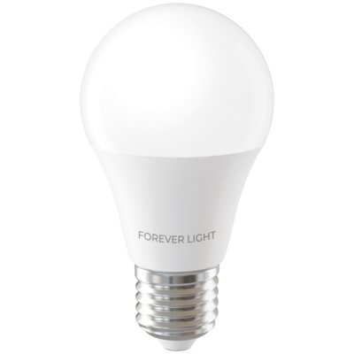 Żarówka LED FOREVER LIGHT RTV9000003 4W E27 6000K