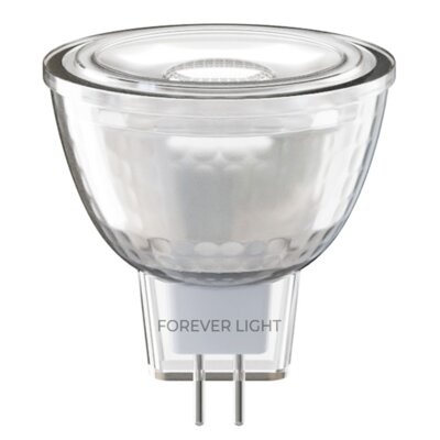 Żarówka LED FOREVER LIGHT RTV9000068 2.2W G4